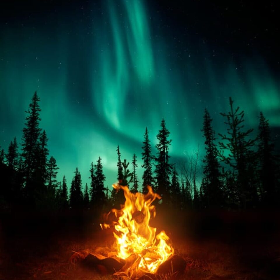 En brasa i skogen med norrsken i bakgrunden.
