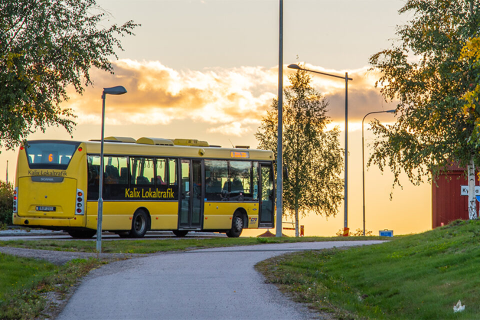 En gul buss från Kalix lokaltrafik kör på en mindre väg. Solen lyser genom molnen på väg upp eller ner och man ser träd i skir grönska.