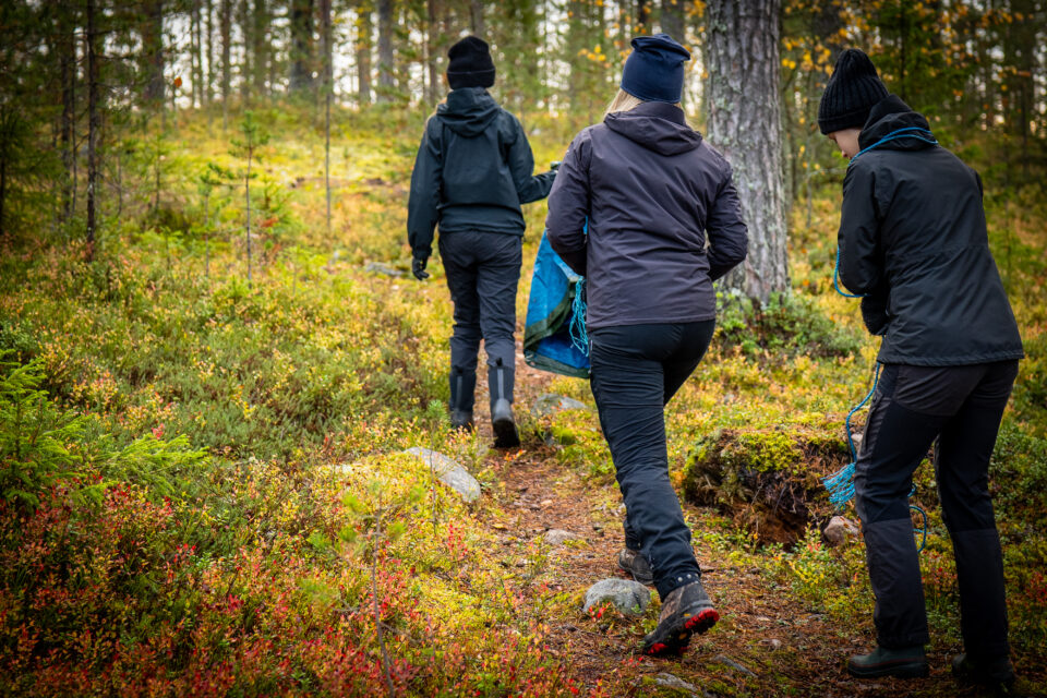 Tre personer i mörka kläder och mössa promenerar i en höstlik skog.