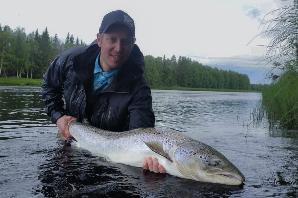 En man står i vattnet och håller i en stor laxfisk.