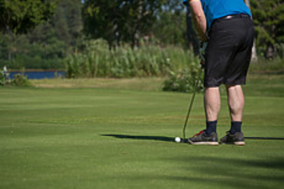 Grön gräsmatta, golfbana, med gröna lövträd i övre kanten av bilden. En man står i höger i bild redo att putta en golfboll.