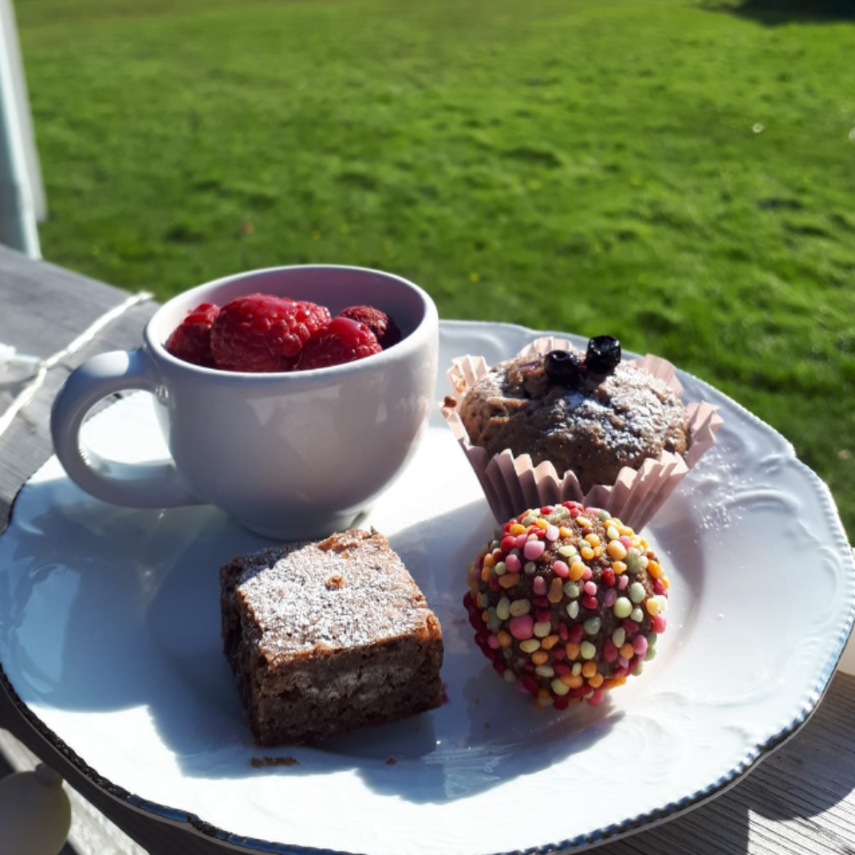 En vit tallrik med en chokladruta, choladboll, chokladmuffis och en lite kopp hallon på. I bakgrunden syns grönt gräs och några träd mot vattnet.