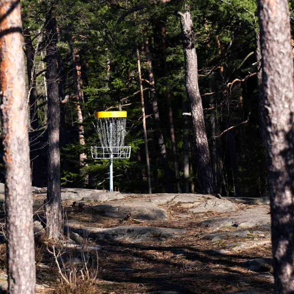 Mål/korg för discgolf syns mellan trädstammar i solljus.